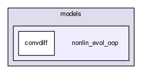 models/nonlin_evol_oop