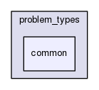 rbasis/problem_types/common